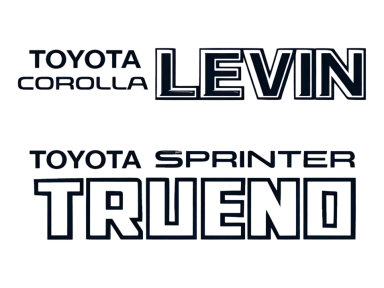 Levin-Trueno