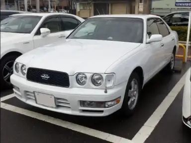 Y33