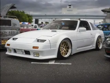 Z31