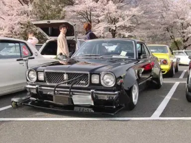 X30-X40