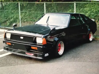 B310