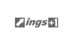 Partner INGS