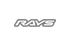Partner Rays