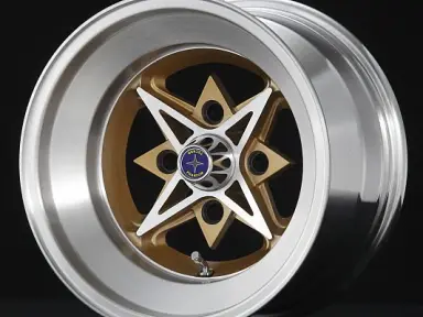 HAYASHI TECHNO PHANTOM